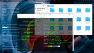 fedora29