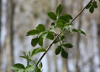 flickr_00344