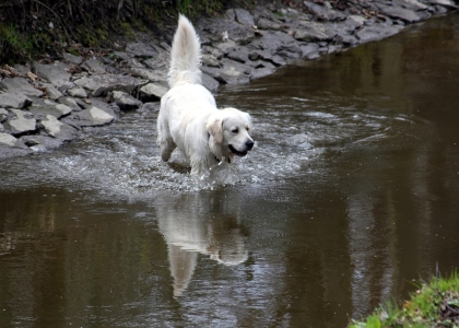 flickr_00347
