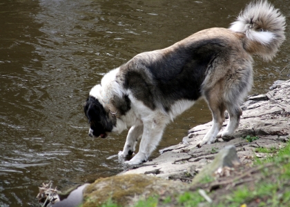 flickr_00348