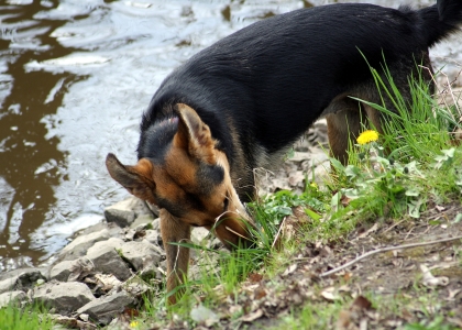 flickr_00349