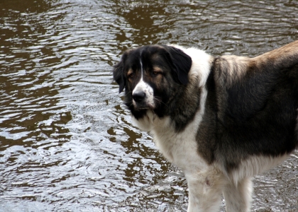 flickr_00350