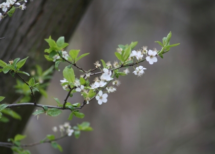 flickr_00351