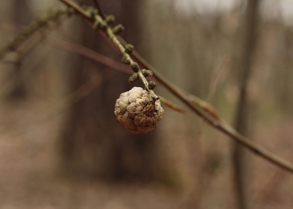 flickr_00358