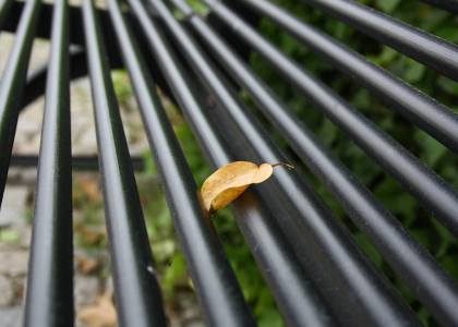 flickr_00366