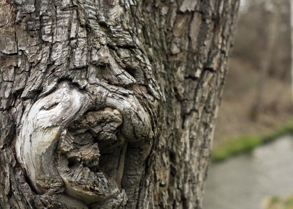 flickr_00376