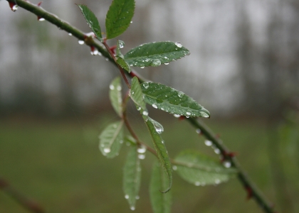 flickr_00407