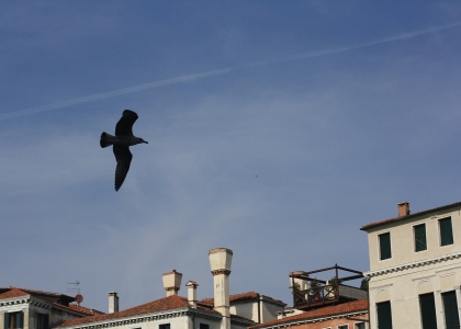 flickr_00671